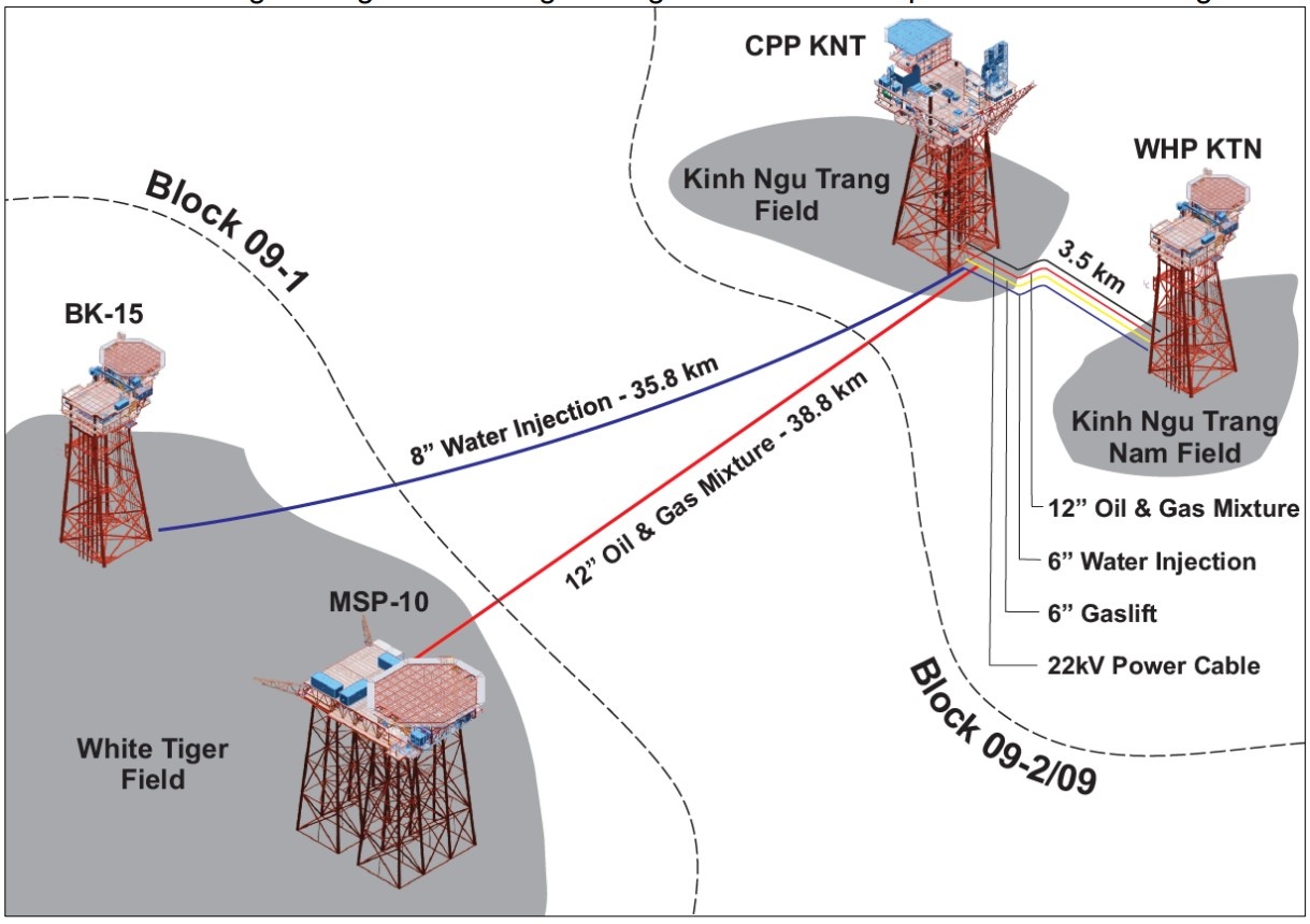 Dấu ấn Viện NIPI trong thành công của dự án Kình Ngư Trắng - Kình Ngư Trắng Nam