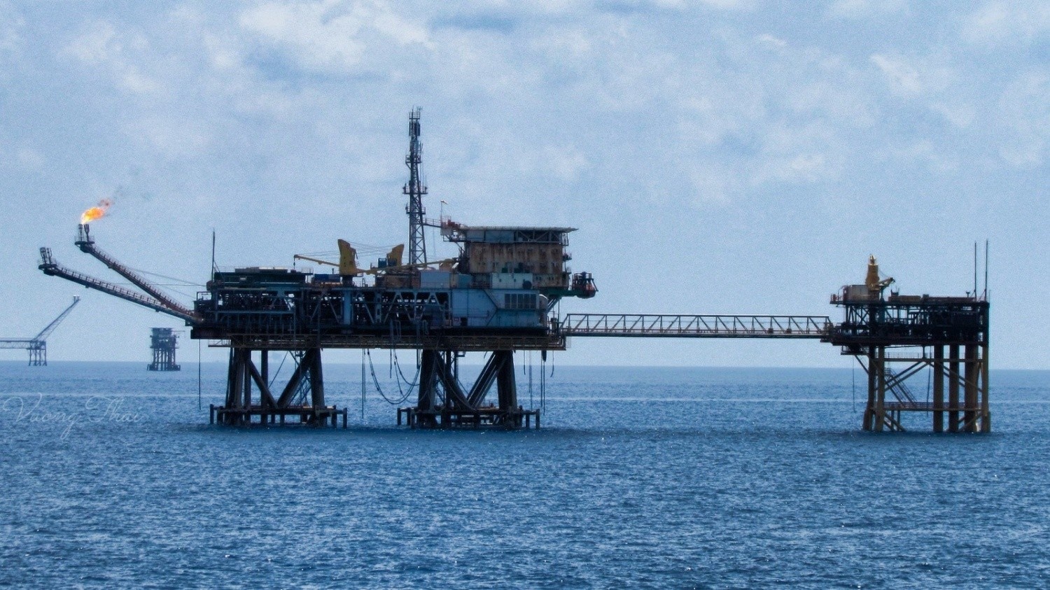 Dấu ấn Viện NIPI trong thành công của dự án Kình Ngư Trắng - Kình Ngư Trắng Nam