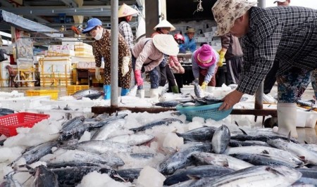 Bộ trưởng Bộ Công Thương gửi thư đề nghị Hoa Kỳ xem xét khách quan về thương mại thủy sản
