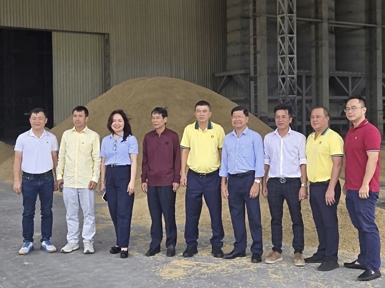 PVCFC tăng tốc mở rộng thị phần tại Campuchia, cùng nông dân nâng giá trị hạt gạo