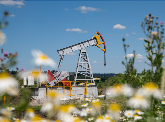 Ba Lan thúc giục EU sớm cắt dầu của Nga