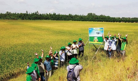 Petrovietnam và vai trò trụ cột an ninh lương thực quốc gia