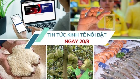 Tin tức kinh tế ngày 20/9: Rau quả Việt bứt phá trở lại ở thị trường Trung Quốc