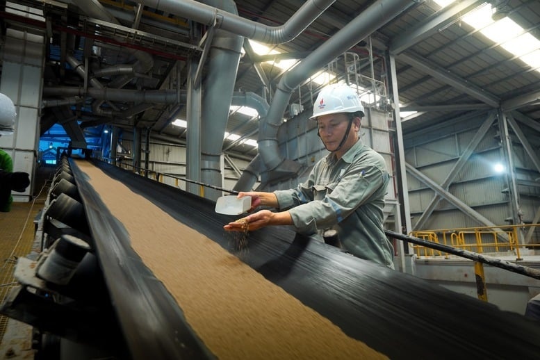 Petrovietnam: 50 years of energy creation, affirming its role as a pillar of the national economy Petrovietnam: 50 years of energy creation, affirming its role as a pillar of the national economy