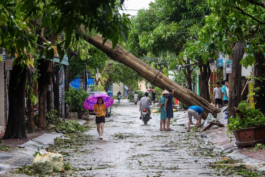 Nghệ An tan hoang sau bão số 10