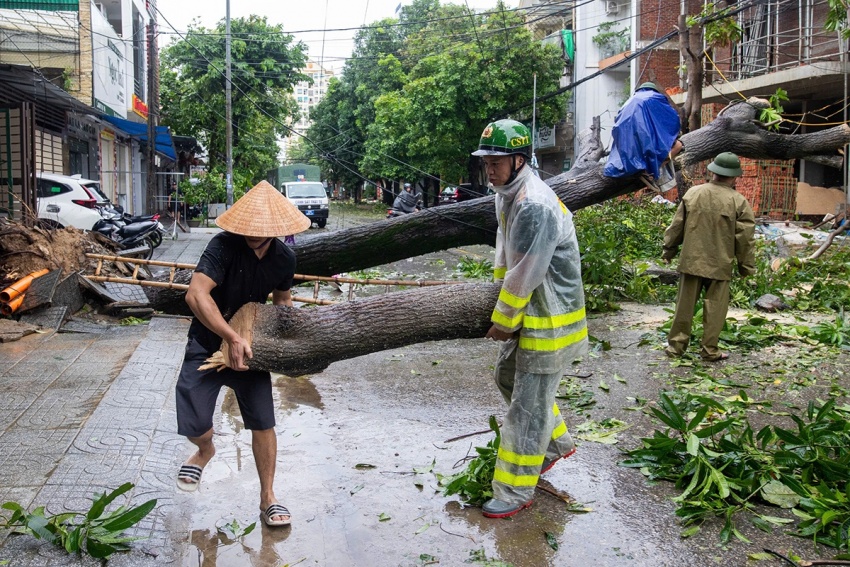Nghệ An tan hoang sau bão số 10