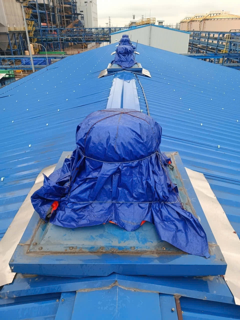 NMNĐ Thái Bình 2 vận hành sản xuất an toàn, ổn định trong bão Bualoi NMNĐ Thái Bình 2 đảm bảo vận hành sản xuất an toàn, ổn định trong bão Bualoi