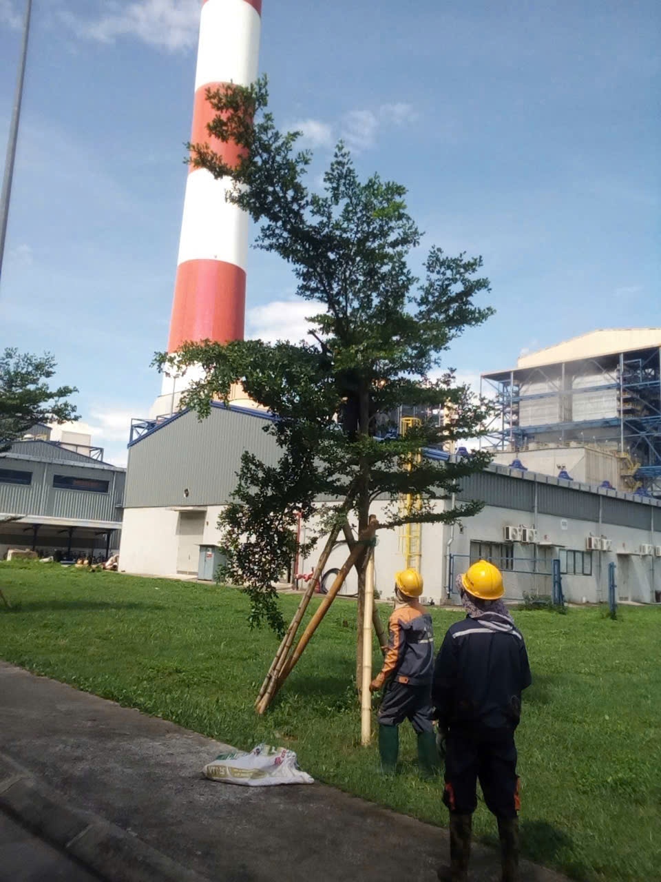 NMNĐ Thái Bình 2 vận hành sản xuất an toàn, ổn định trong bão Bualoi NMNĐ Thái Bình 2 đảm bảo vận hành sản xuất an toàn, ổn định trong bão Bualoi