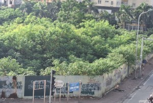 Tập đoàn Bảo Việt và hàng loạt ông lớn “ôm đất” bỏ hoang gây lãng phí