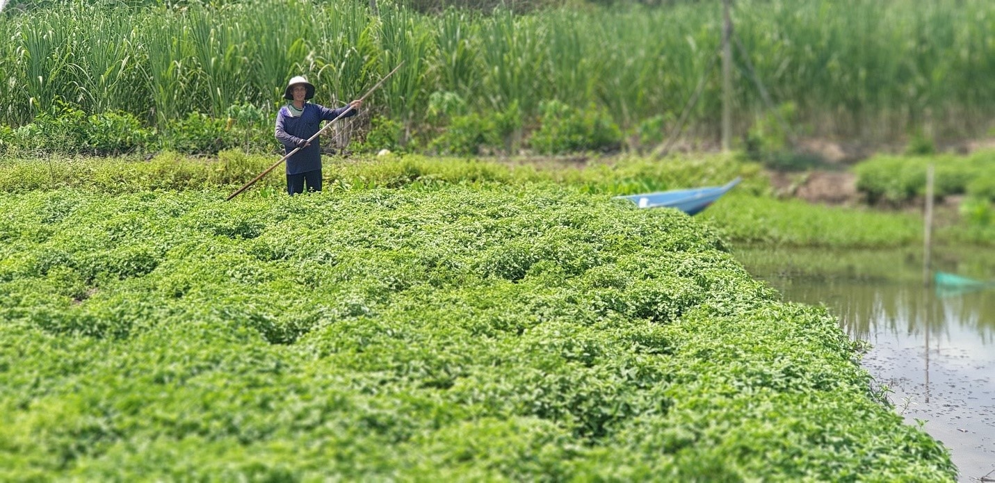 Trà Dr Thanh - 17 năm kiến tạo giá trị 3 Không, đưa thức uống Việt chinh phục thế giới