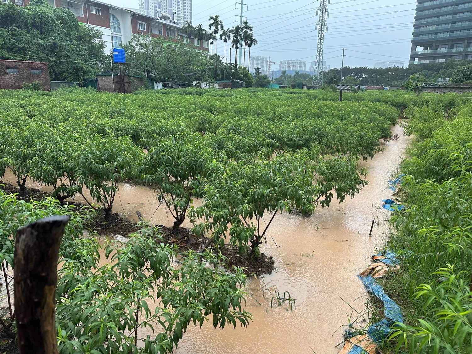 Hà Nội: Mưa lớn gây ngập úng tại một số tuyến đường sáng 7/10