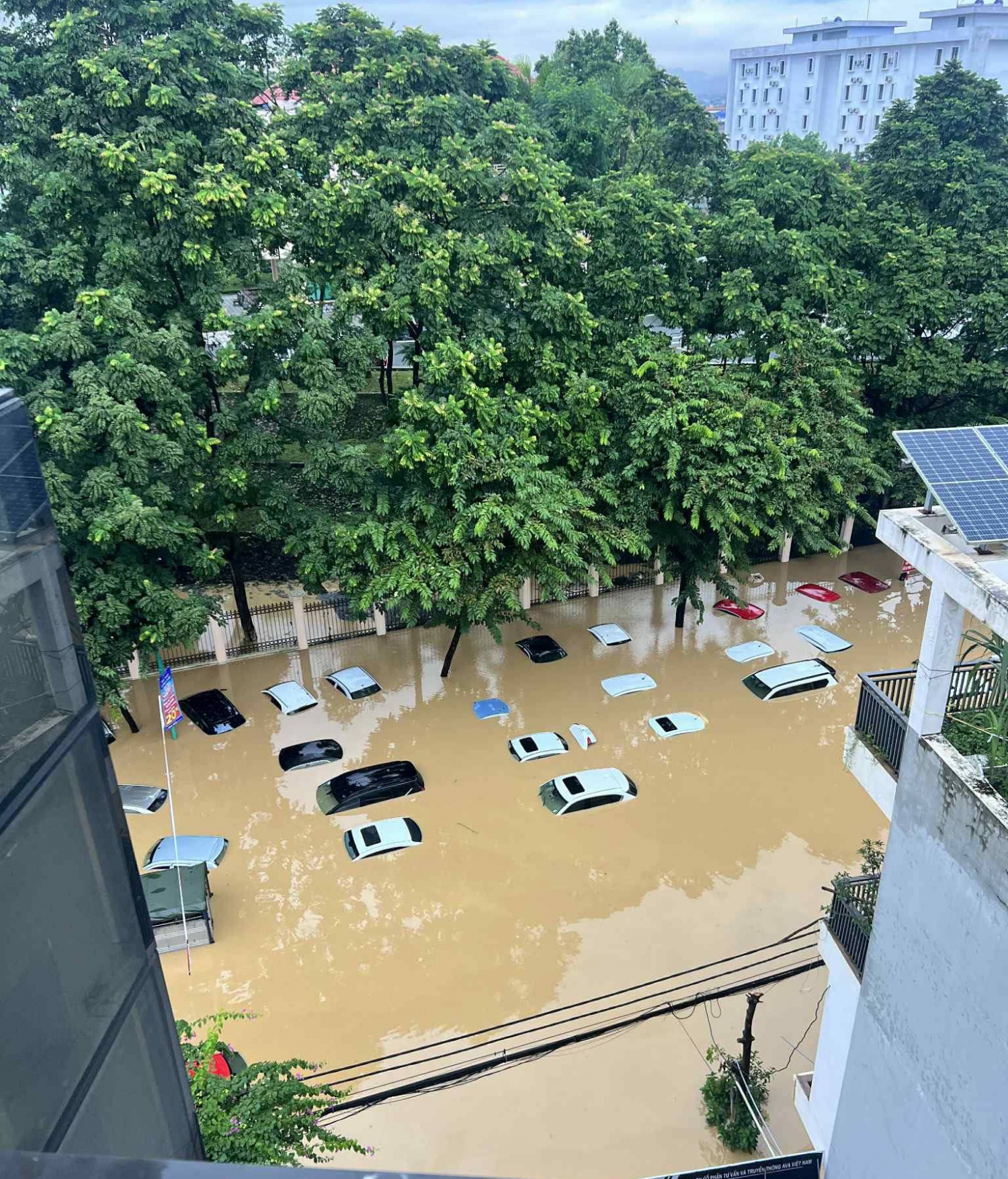 Trước khu vực cổng Tỉnh ủy Thái Nguyên, nước dâng cao khiến nhiều ô tô bị ngập gần hết phần đầu xe. Trước khu vực cổng Tỉnh ủy Thái Nguyên, nước dâng cao khiến nhiều ô tô bị ngập gần hết phần đầu xe.