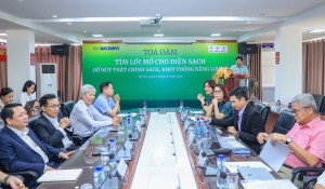 Hơn 170 dự án điện sạch gặp vướng mắc về pháp lý, cơ chế giá và vốn