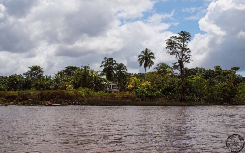 Một đoạn sông Essequibo. Một đoạn sông Essequibo.