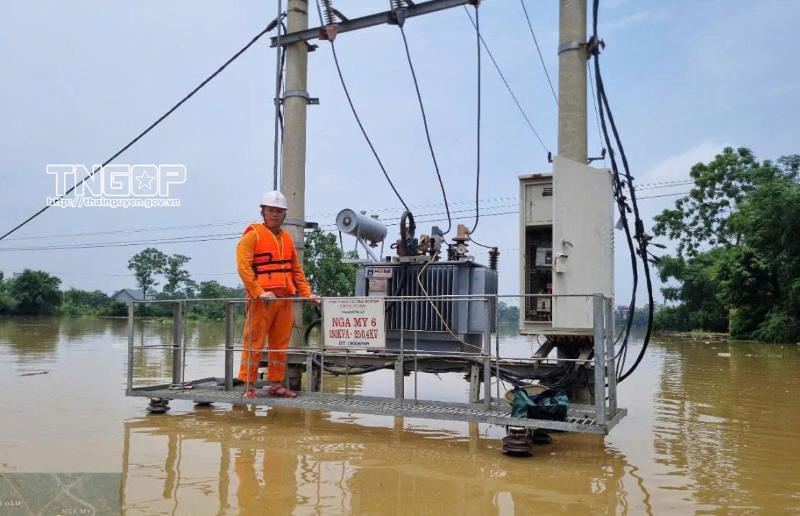PC Thái Nguyên nỗ lực khôi phục cấp điện sau ngập lụt do hoàn lưu bão số 11 PC Thái Nguyên nỗ lực khôi phục cấp điện sau ngập lụt do hoàn lưu bão số 11