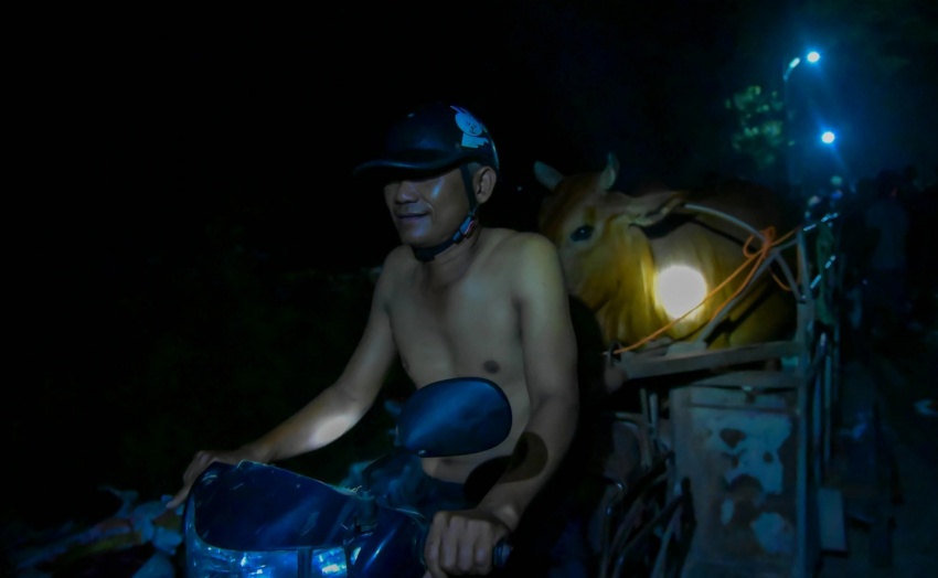 Bắc Ninh: Theo chân người dân trắng đêm cứu đê trước cơn lũ lịch sử