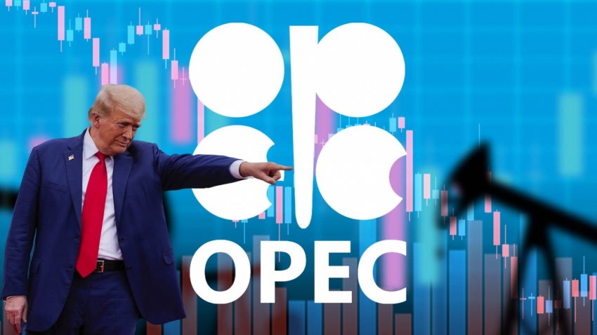 Ảnh minh họa Ảnh minh họa