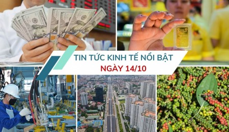 Tin tức kinh tế ngày 14/10: Tỷ giá được dự báo “hạ nhiệt” vào cuối năm