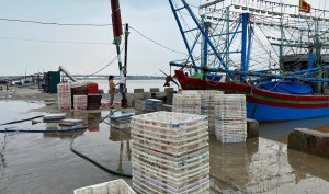 Quảng Trị: Chạy nước rút gỡ “thẻ vàng” IUU
