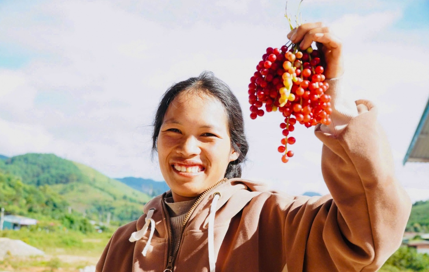 “Hạt ngọc trời” giúp người dân kiếm tiền triệu ở phía Tây Quảng Ngãi