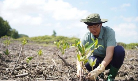 PVEP-POC quyết tâm đạt mục tiêu "Net Zero" bằng hành động trồng rừng thiết thực