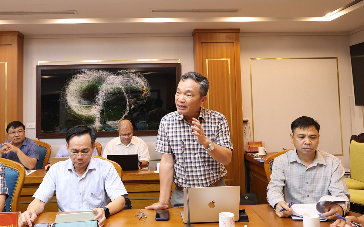 Triển khai các dự án truyền tải cấp bách phục vụ nhập khẩu điện từ Lào Triển khai các dự án truyền tải cấp bách phục vụ nhập khẩu điện từ Lào