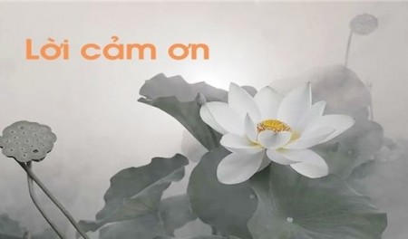 Lời cảm ơn