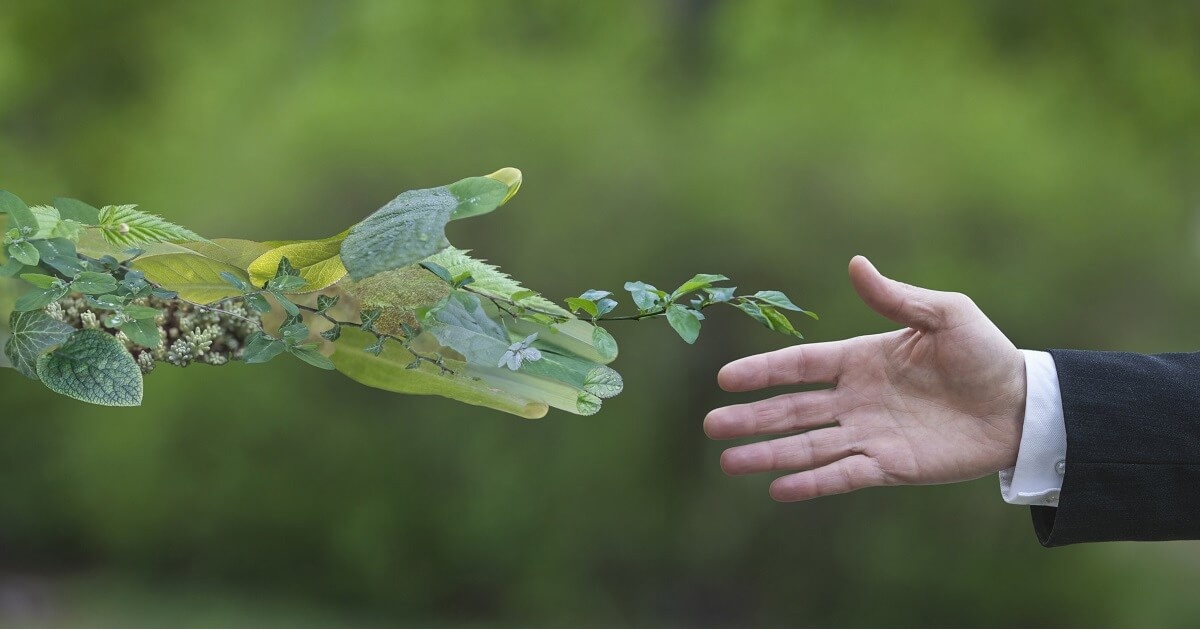 Đòn bẩy thu hút đầu tư cho chuyển đổi xanh