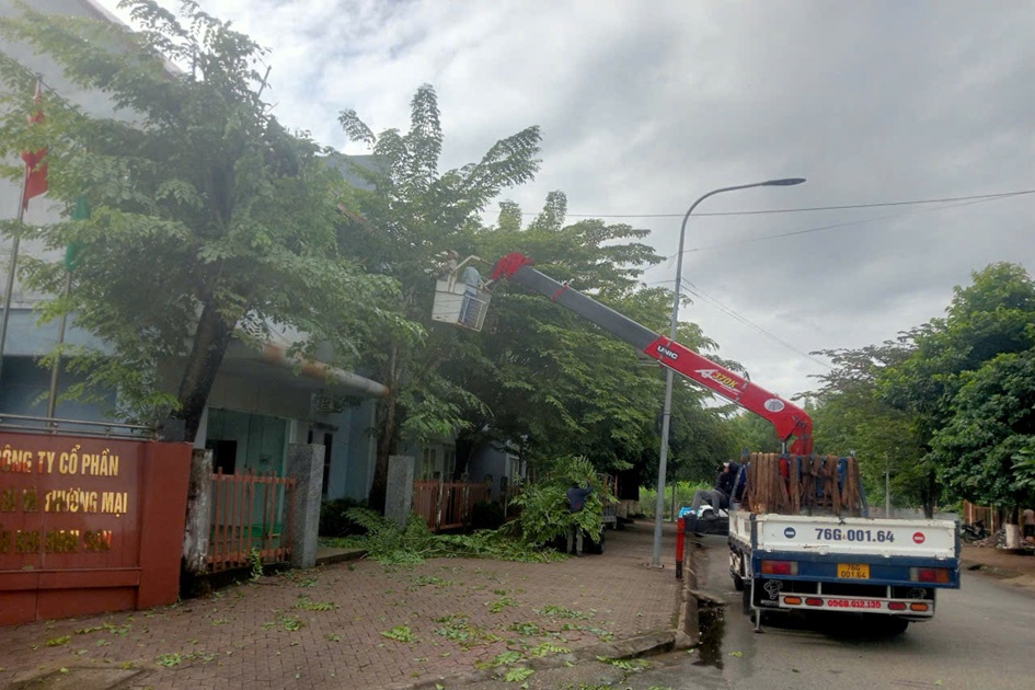 BSPPT cũng đã tổ chức cắt tỉa, dọn dẹp cây xanh để tránh ảnh hưởng trước mưa to, gió lớn.