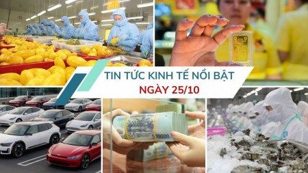 Tin tức kinh tế ngày 25/10: Nguồn cung dồi dào, giá ô tô dự báo giảm sâu vào cuối năm