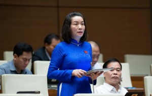 ĐBQH đề nghị làm rõ quy định để nâng cao tính khả thi của Luật Tương trợ tư pháp về dân sự