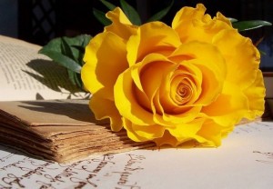Tử vi tuần mới (27/10-2/11/2025): Tuổi Ngọ hung cát đan xen, tuổi Thìn quý nhân dẫn lối