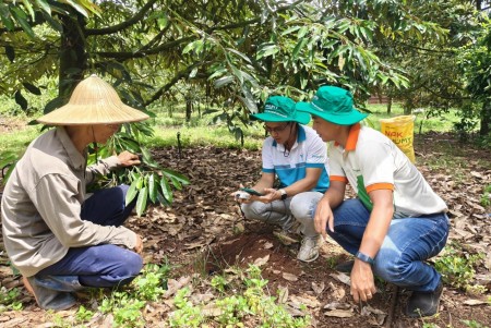 PVFCCo - Phú Mỹ hợp tác cùng Enfarm: Bước tiến lớn trong chuyển đổi số nông nghiệp Việt Nam