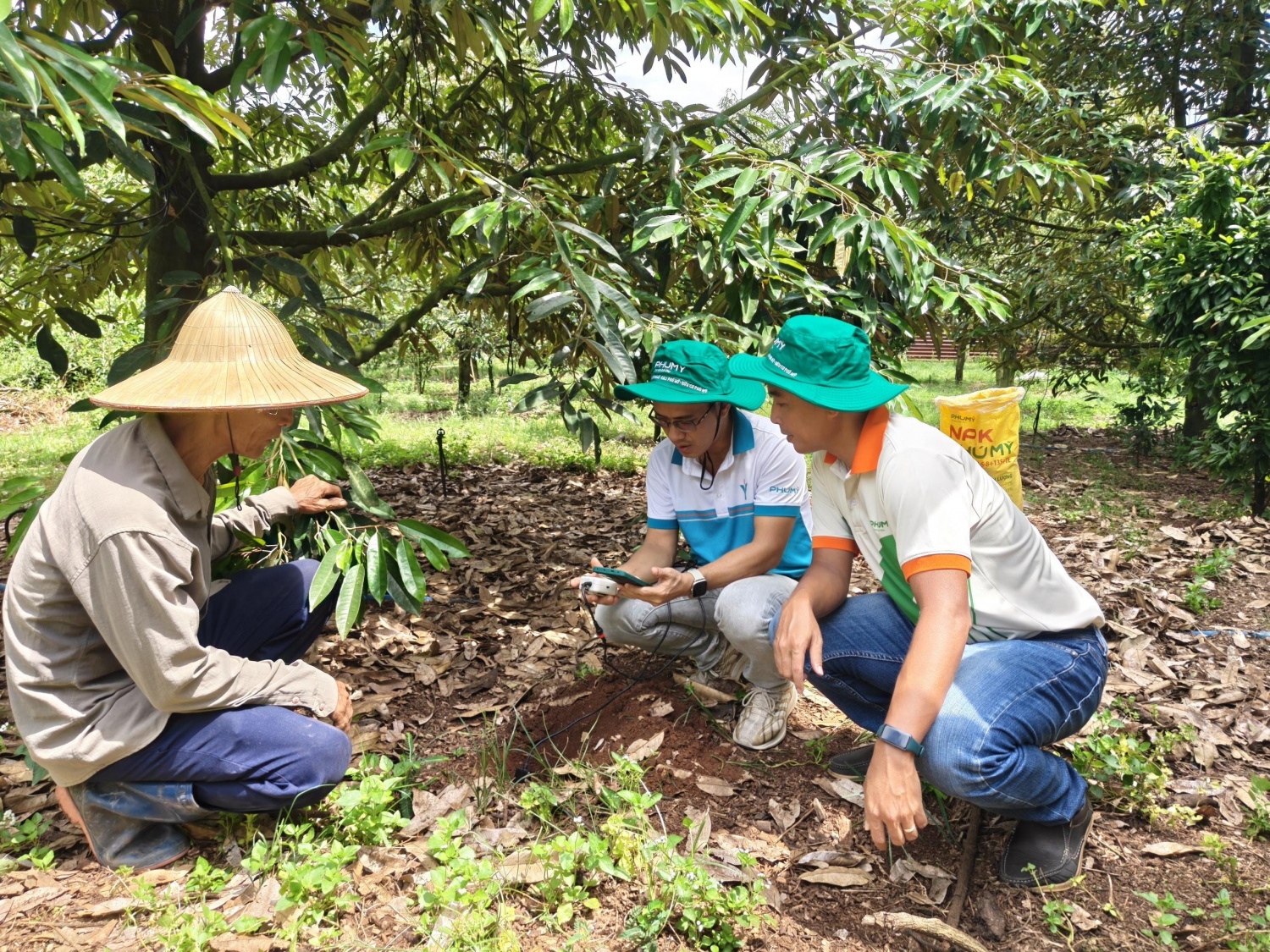 PVFCCo - Phú Mỹ hợp tác cùng Enfarm: Bước tiến lớn trong chuyển đổi số nông nghiệp Việt Nam