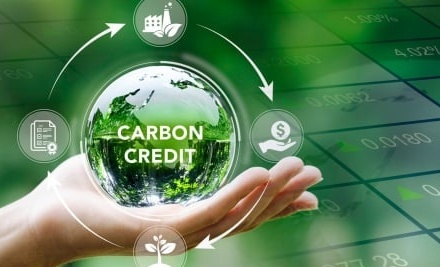 Cần thiết lập, vận hành thí điểm Sàn giao dịch tín chỉ carbon