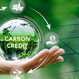 Cần thiết lập, vận hành thí điểm Sàn giao dịch tín chỉ carbon