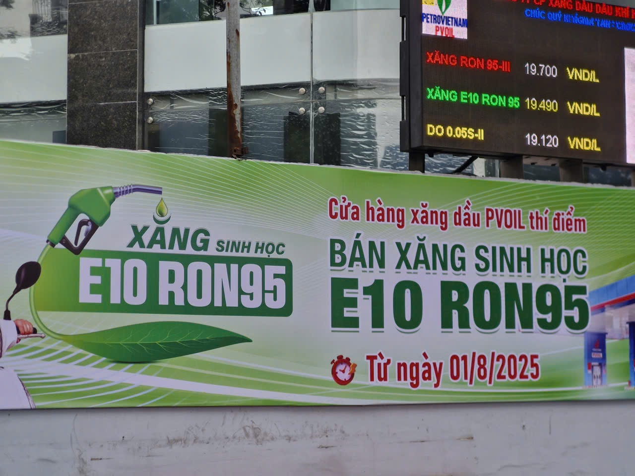 Cần cơ chế thuế đột phá để xăng sinh học E10 cạnh tranh và phát triển bền vững Cần cơ chế thuế đột phá để xăng sinh học E10 cạnh tranh và phát triển bền vững