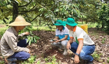 Phu My cooperates with Enfarm: A big step forward in digital transformation of Vietnamese agriculture