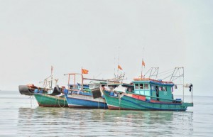 An Giang siết chặt quản lý, quyết liệt chống khai thác hải sản bất hợp pháp