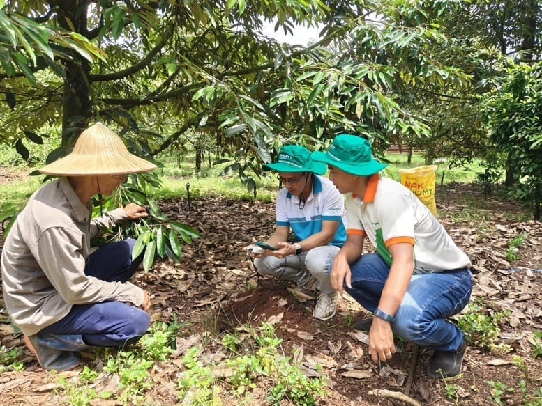 Phu My cooperates with Enfarm: A big step forward in digital transformation of Vietnamese agriculture Phu My cooperates with Enfarm: A big step forward in digital transformation of Vietnamese agriculture