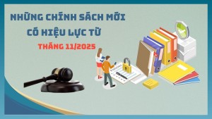Những chính sách mới có hiệu lực từ tháng 11/2025