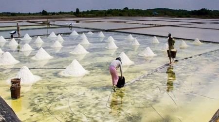 TP HCM phát động Cuộc thi viết về Nghề, Làng nghề truyền thống 2025