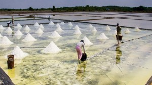 TP HCM phát động Cuộc thi viết về Nghề, Làng nghề truyền thống 2025