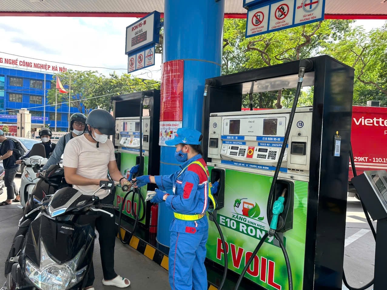 Bài toán vùng nguyên liệu cho xăng sinh học E10 trước giờ mở bán toàn quốc Bài toán vùng nguyên liệu cho xăng sinh học E10 trước giờ mở bán toàn quốc