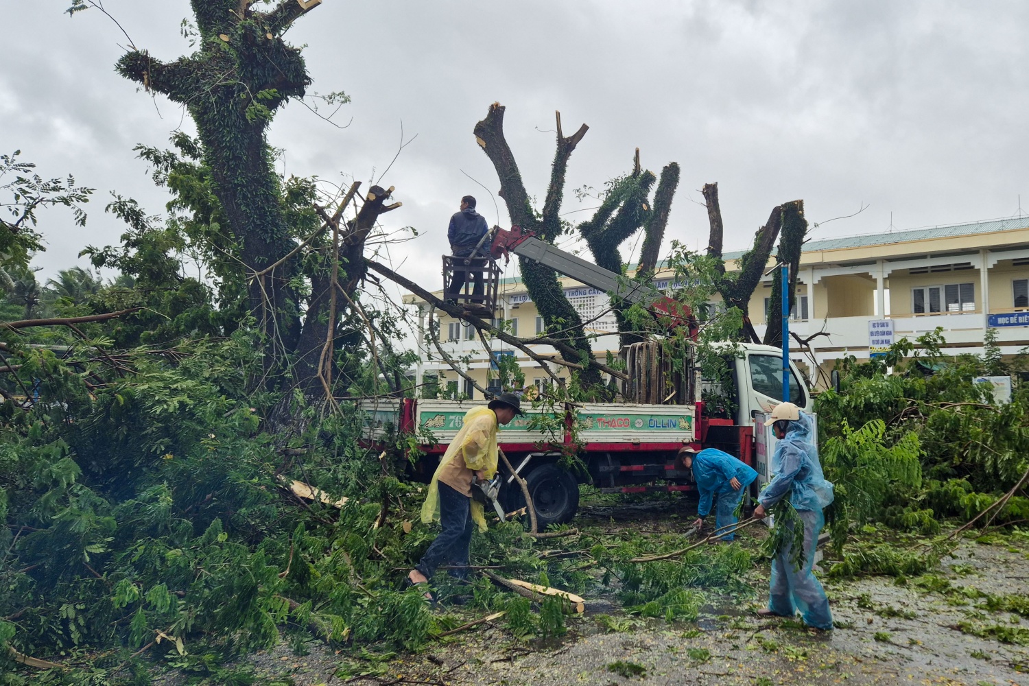 Các khu vực dành cho người dân tránh trú đang được đẩy nhanh công tác dọn dẹp, cắt tỉa cây xanh để đảm bảo an toàn cho người dân đến tránh trú. Các khu vực dành cho người dân tránh trú đang được đẩy nhanh công tác dọn dẹp, cắt tỉa cây xanh để đảm bảo an toàn cho người dân đến tránh trú.