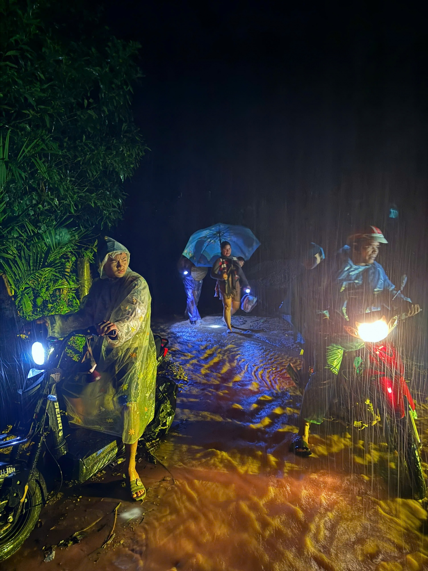 Quảng Ngãi: Nhanh chóng sơ tán người dân khi phát hiện vết nứt trên núi Quảng Ngãi: Nhanh chóng sơ tán người dân khi phát hiện vết nứt trên núi