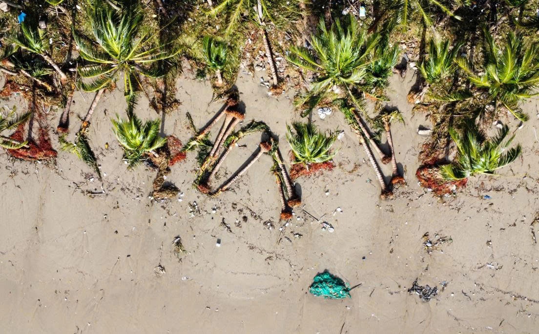 Hàng loạt cây dừa tại bãi biển Mân Thái, Thọ Quang, phường Sơn Trà đã bị sóng đánh bật gốc, gãy đổ. Hàng loạt cây dừa tại bãi biển Mân Thái, Thọ Quang, phường Sơn Trà đã bị sóng đánh bật gốc, gãy đổ.