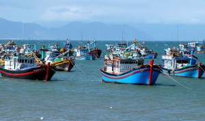 Việt Nam kiên quyết xử lý nghiêm, công khai các hành vi vi phạm IUU