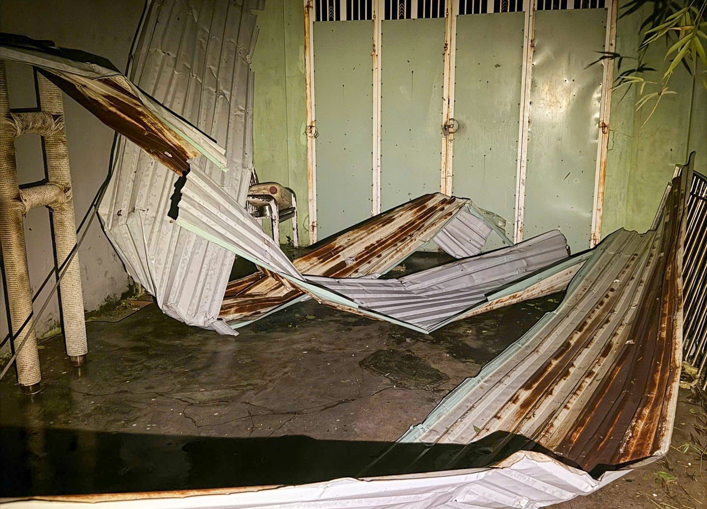 Gia Lai: Cây cối ngã rạp, nhà cửa - hàng quán xác sơ sau bão số 13 Gia Lai: Cây cối ngã rạp, nhà cửa - hàng quán xác sơ sau bão số 13