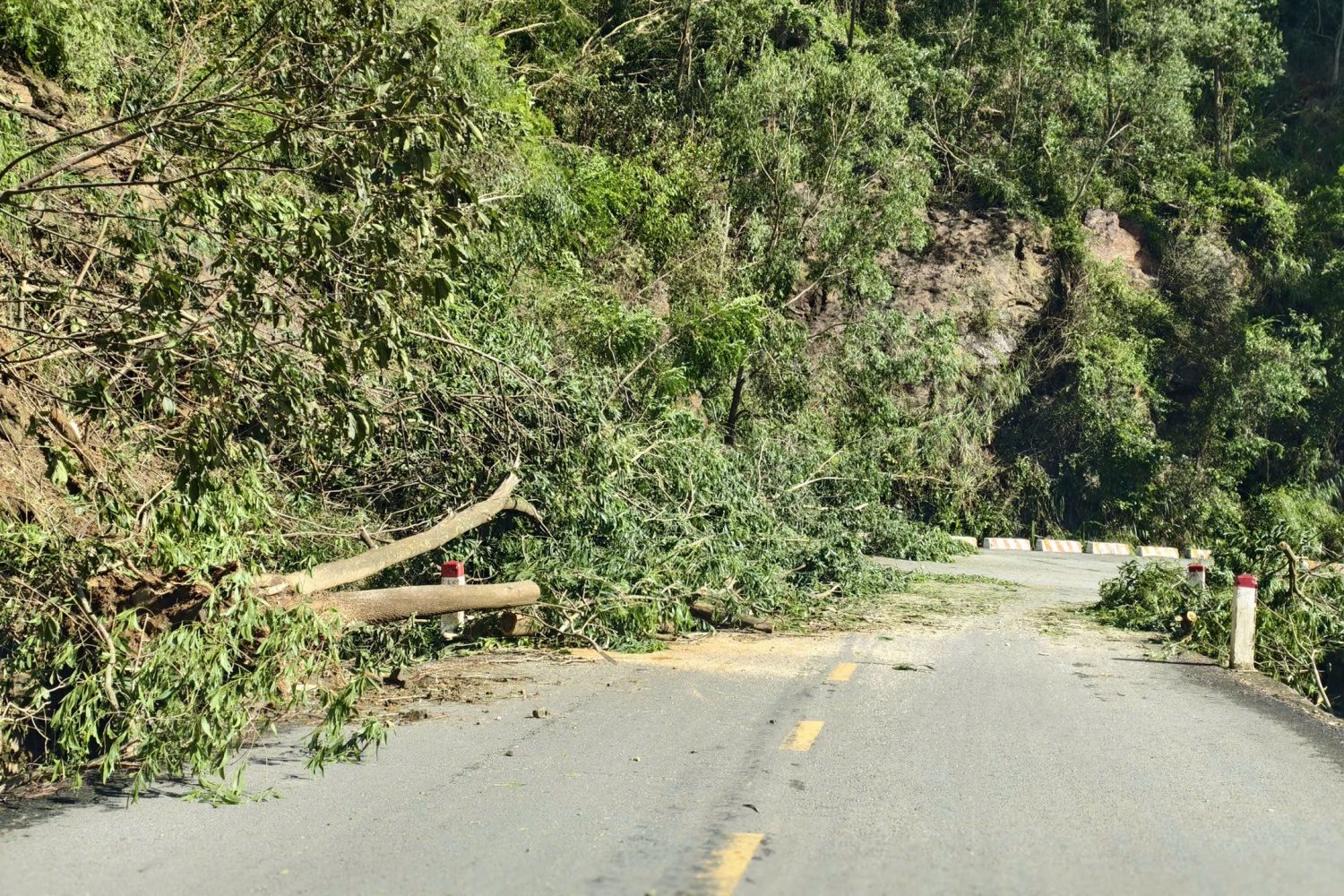 Gia Lai: Cây cối ngã rạp, nhà cửa - hàng quán xác sơ sau bão số 13 Gia Lai: Cây cối ngã rạp, nhà cửa - hàng quán xác sơ sau bão số 13